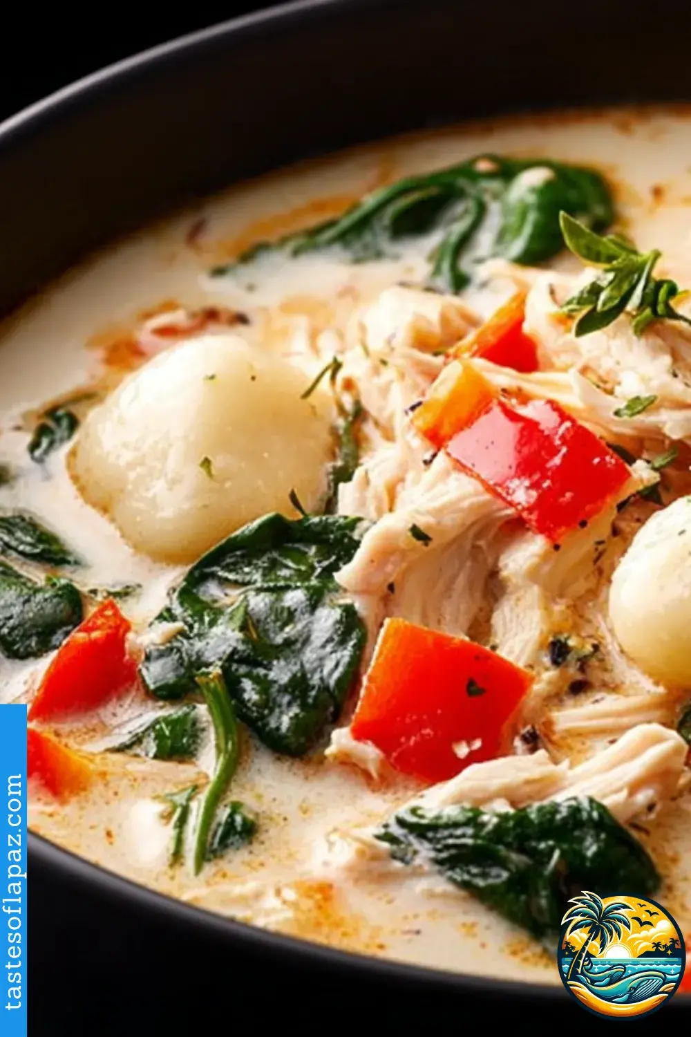 Chicken and Gnocchi Soup