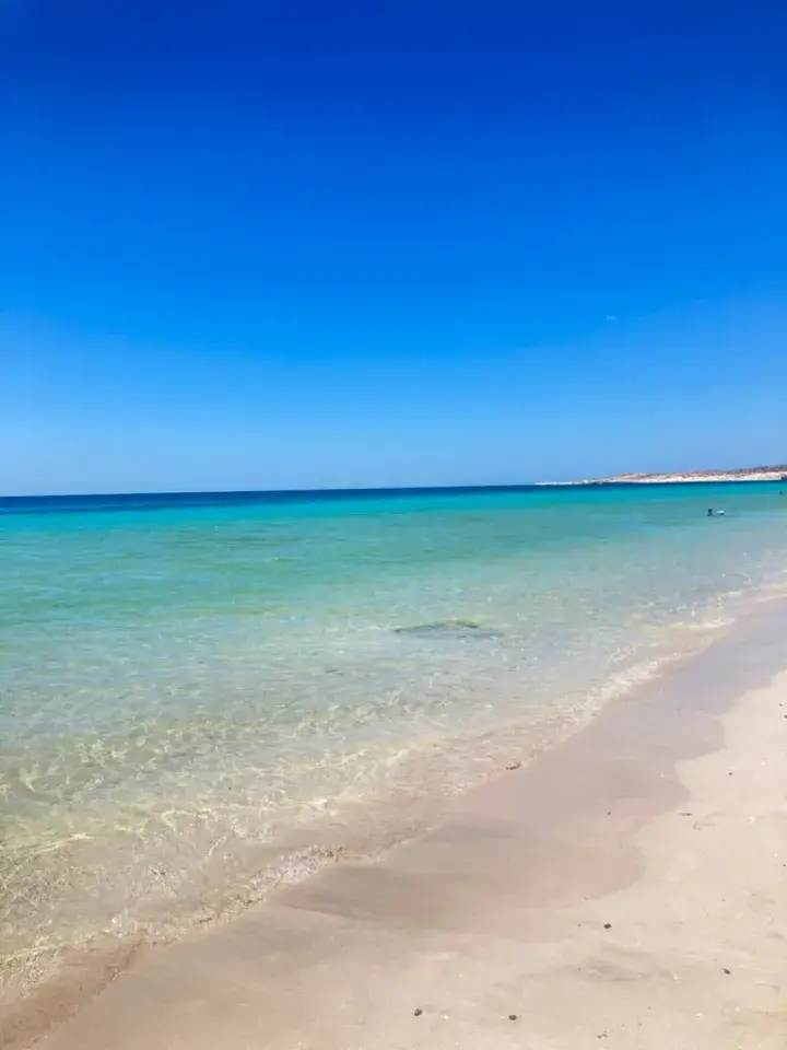 Coast line El Tecolote Beach.