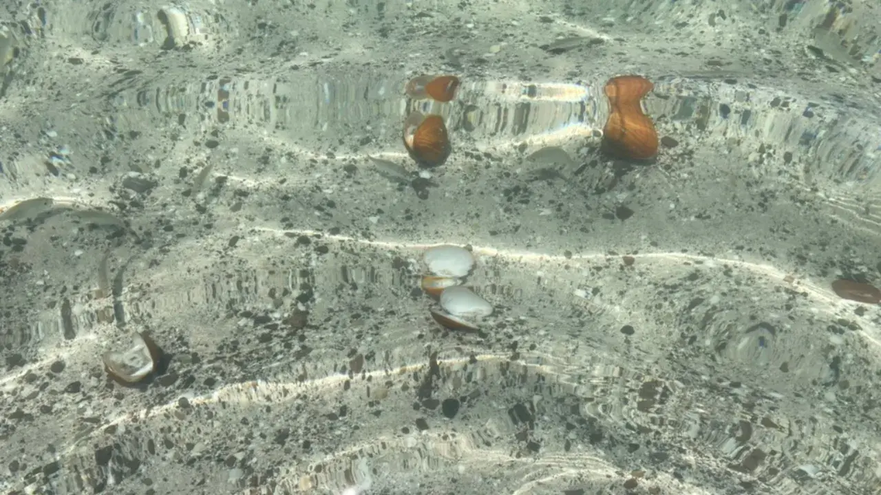 Piña Colada at El Tecolote Beach