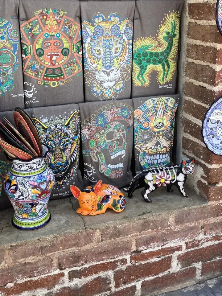 Art Everywhere in Todos Santos